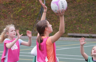 Image of NETBALL CAMPS